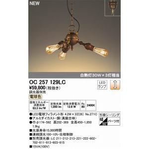 Panasonic（パナソニック） 吹き抜け用シャンデリア LED(電球色