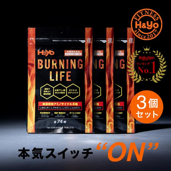 燃焼系サプリ ダイエットサプリ L-カルニチン α‐リポ酸 BCAA配合 燃焼成分2倍増量  NEW...