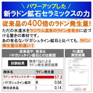 ラジウム ラドンスティック ラドン水 ラジウム...の詳細画像5