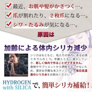 水素 シリカスティック HYDROGEN SI...の詳細画像2