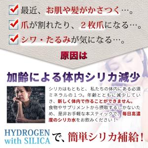水素 シリカスティック HYDROGEN SI...の詳細画像2