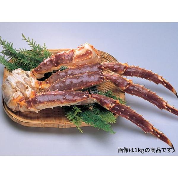<生冷凍> たらばがに脚　3L・2.0kg前後　北海道根室加工 お歳暮ギフト(のし対応可) 海鮮特産...