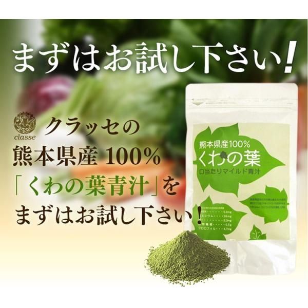 青汁 国産 熊本産 無農薬 桑の葉 100％使用  無添加 青汁 1袋20包入