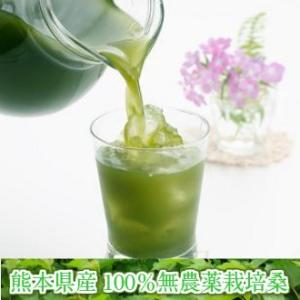 青汁 国産 熊本産 無農薬 桑の葉 100%使...の詳細画像3