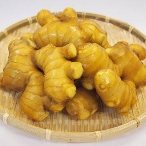生姜紅茶 国産 ティーパック 20ヶ入×3袋 ...の詳細画像1