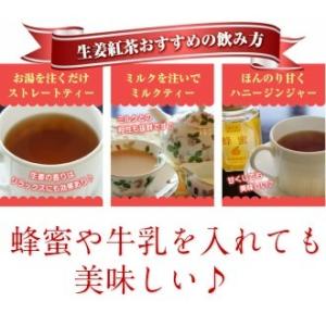 生姜紅茶 国産 ティーパック 20ヶ入×3袋 ...の詳細画像2