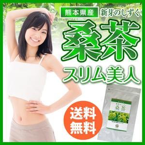 桑 茶 国産 新芽のしずく  ティーパック20個入 熊本県産桑100％使用 無添加｜クラッセライフヤフー店