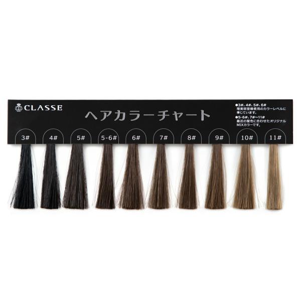 ウィッグ専門店が作った 髪色チェック用ヘアカラーチャート 最新色 カードタイプで持ち運びに便利  服...