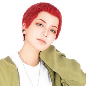 コスプレ ウィッグ クラッセ PRO プロ マジックオールバック ロング
