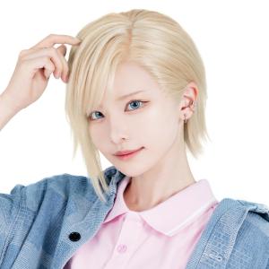 Fate/Grand Order FGO 藤堂 平助 とうどう へいすけ コスプレウィッグ