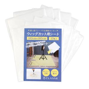 国家試験用カットウィッグ24-12-20＜本番用＞【送料無料】100％人毛
