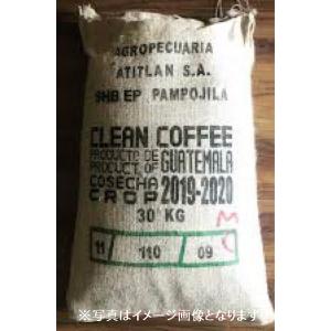 コーヒー 生豆 エチオピア モカ レケンプティ G4 10kg(5kg