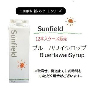 ブルーハワイシロップ 1000ml×12本 ケース販売 業務用 かき氷 カクテル お祭り 屋台 三田...