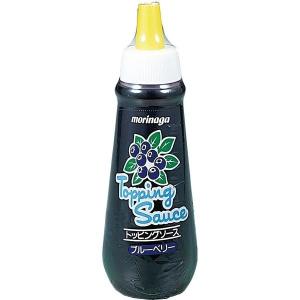 森永乳業 トッピング ブルーベリーソース 500g