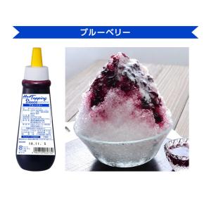 森永乳業 トッピング ブルーベリーソース 500gの詳細画像1