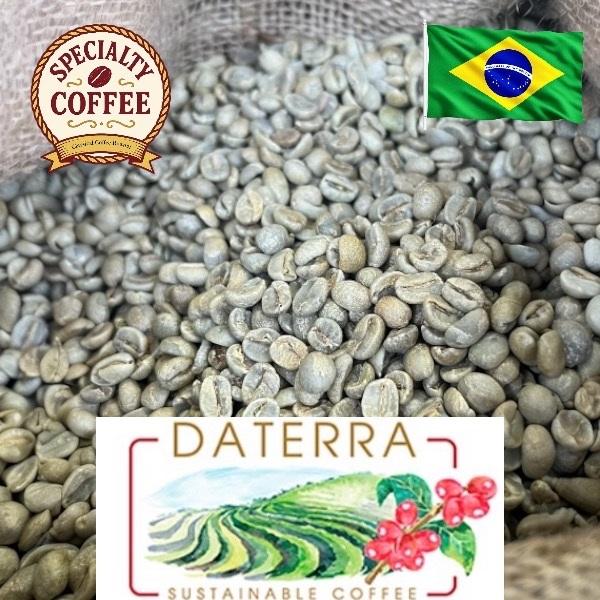 スペシャリティコーヒー ブラジルダテーラ農園  コーヒー生豆 500g