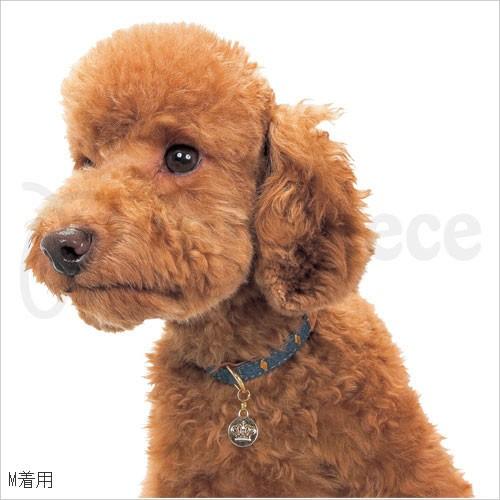 【50%OFF】チャーム付きPPデニム首輪　S（9537）