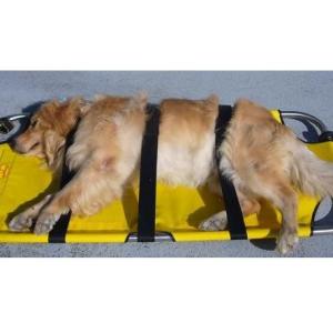 大型犬介護用タンカー【大型犬用介護用品】