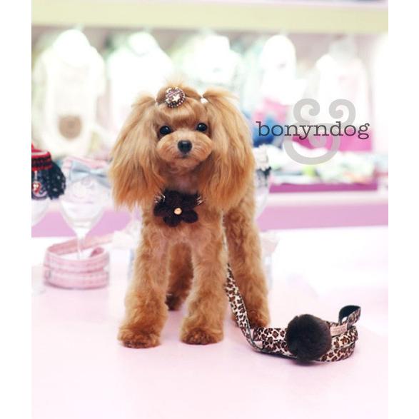 【50％OFF】bonyndog　レオパード柄　カラー＆リードセット　S・L