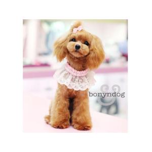 bonyndog　daisyレースチョーカー　S・L　