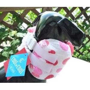 【50%OFF】【超小型犬用】クインカラー　SS