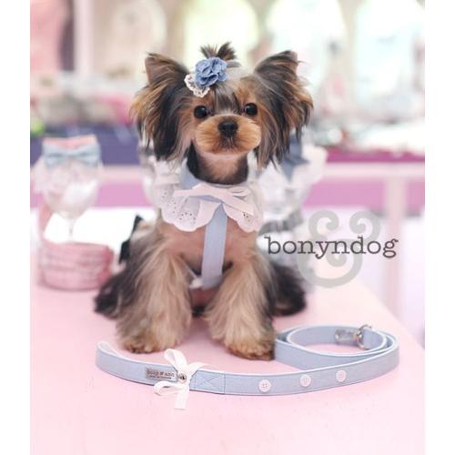 【50％OFF】bonyndog　オックスフォード（ｇｉｒｌ ガール）ハーネス単品　S〜L