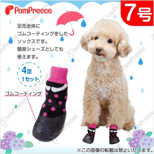 【在庫処分】 ソックシューズ ファニードット　7号　犬　ソックス　ポンポリース