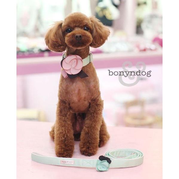 【50％OFF】bonyndog　pink blossom カラー＆リードセット　S・L　