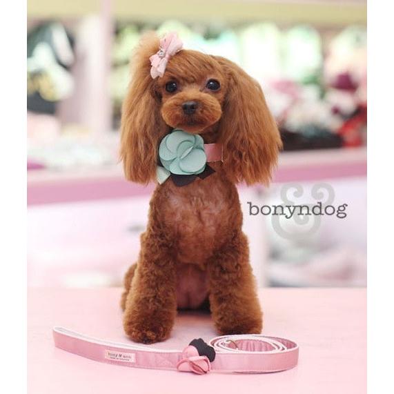 【50％OFF】bonyndog　mint blossom カラー＆リードセット　S・L