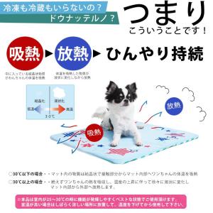 【50%OFF】【宅配便のみ】POPフラワー ...の詳細画像2