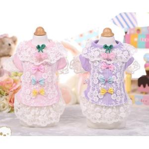 3色リボンのレースTシャツ（ハンガー無）　ＸＳ〜ＸＬ【犬 服】