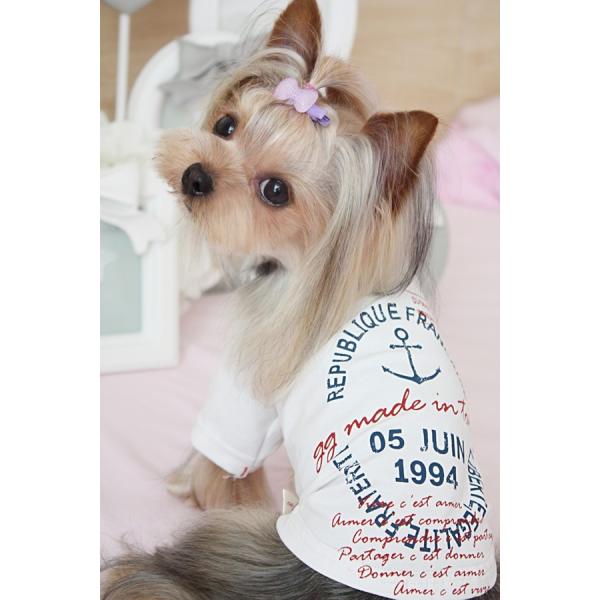 アンカープリントTシャツ 2〜4号（ハンガー無）【犬 服】