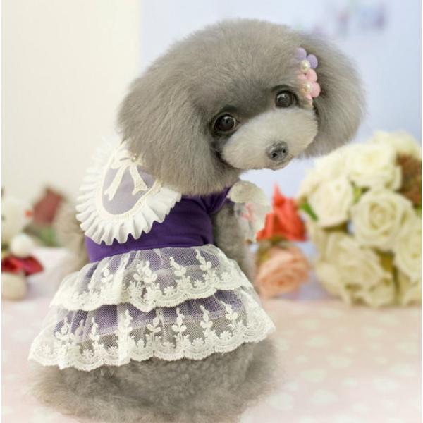 リボンモチーフレースワンピ　 Ｓ〜ＸＬ（ハンガー無）【犬 服】