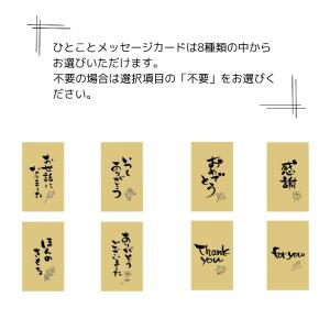 ドリップバッグコーヒー ロータス ビスケット ...の詳細画像5