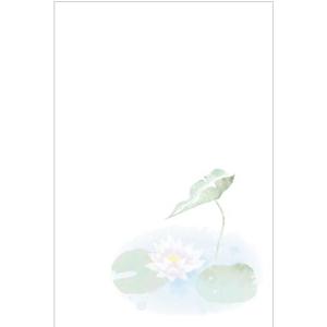 喪中はがき《絵柄のみ印刷済》10枚パック（No.k808）《ハガキ/胡蝶蘭/裏面印刷済み》