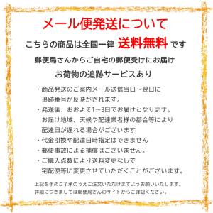 ピューミィ 1本 PU-100 クリーナーステ...の詳細画像1