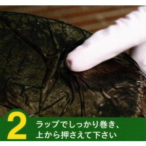 万能タイプ★こげとりぱっとビカ(300g)アル...の詳細画像3