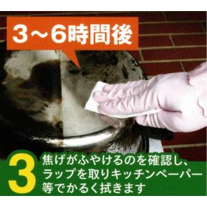 万能タイプ★こげとりぱっとビカ(300g)アル...の詳細画像4