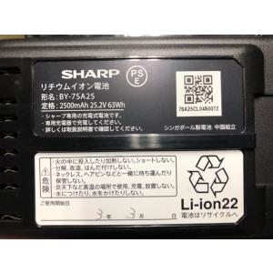 蔵王産業 バッテリーパック(スピアーサイクロンプ...の商品画像