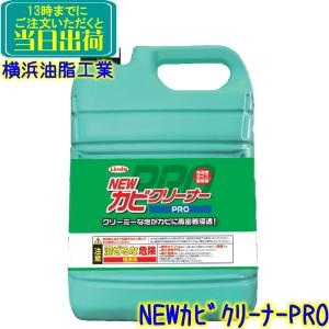 ケルヒャー（KARCHER） KARCHER Puzzi 8/1 カーペットリンスクリーナー