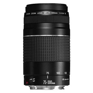 Canon EFレンズ EF75-300mm F4-5.6 IIIズームレンズ 望遠 並行輸入品 黒｜cleanair