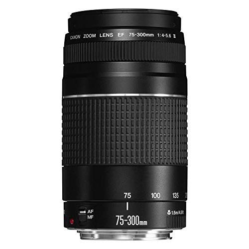 Canon EFレンズ EF75-300mm F4-5.6 IIIズームレンズ 望遠 並行輸入品 黒