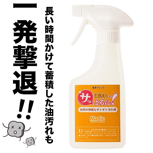 サッとるん！ 台所の頑固なギトギト汚れ用 300ml