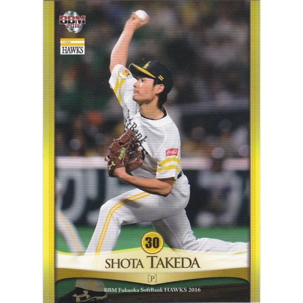 BBM 2016 福岡ソフトバンクホークス 武田翔太 H13 レギュラー