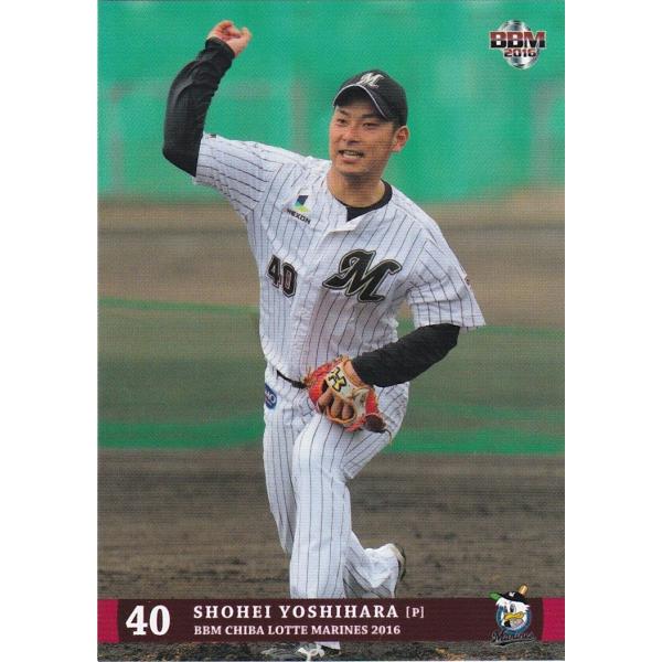 BBM 2016 千葉ロッテマリーンズ 吉原正平 M20 レギュラー