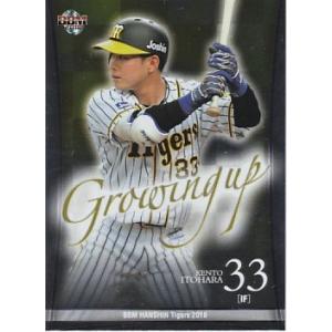 BBM 2018 阪神タイガース 糸原健斗 GU4 成長株