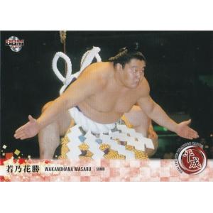 BBM 2019 平成 若乃花勝 031 レギュラーカード