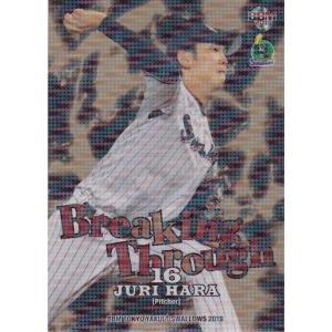 BBM 2019 東京ヤクルトスワローズ 山川晃司 /56 直筆サイン