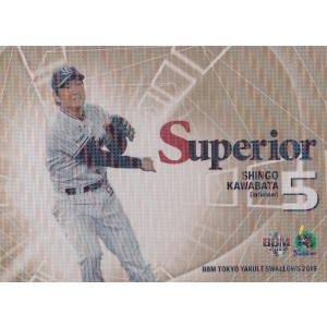 BBM 2019 東京ヤクルトスワローズ 山川晃司 /56 直筆サインカード