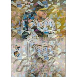 BBM 2019 阪神タイガース メッセンジャー /50 パラレル RT3 主力野手